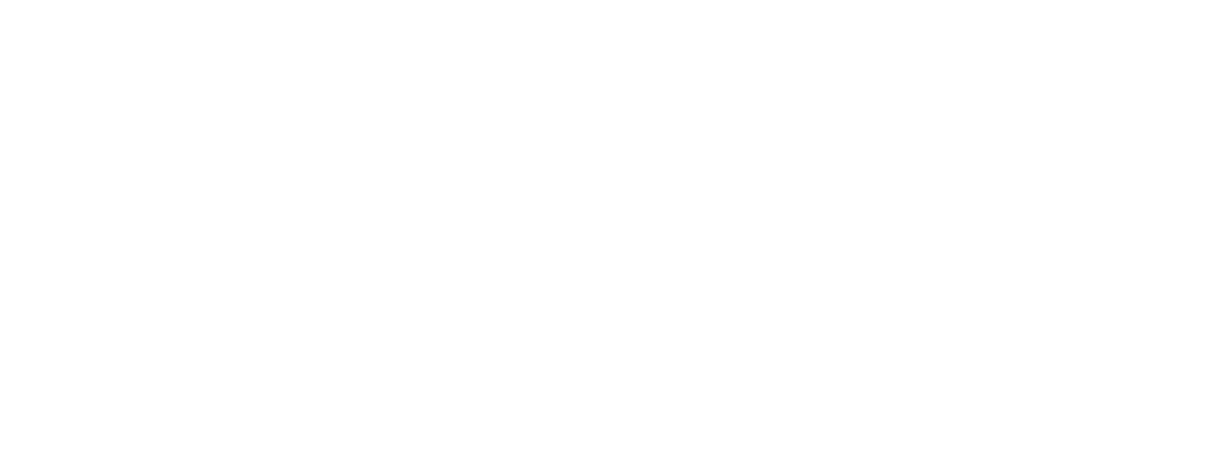 Festa del cinema di Roma 2025 - Logo ufficiale